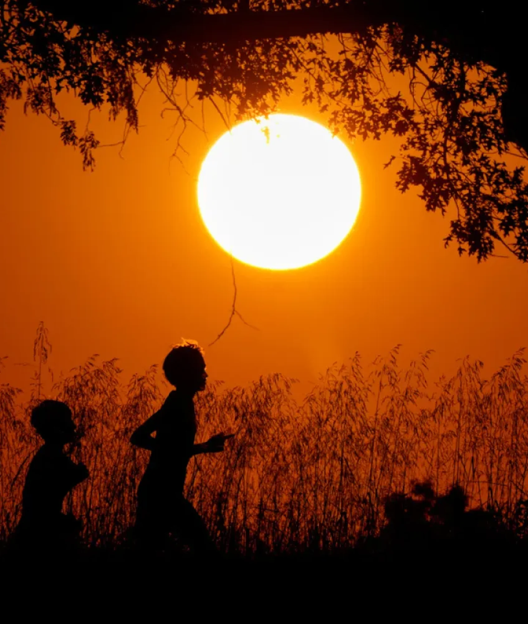 La esperanza de vida en EU alcanzó su máximo histórico en 2024