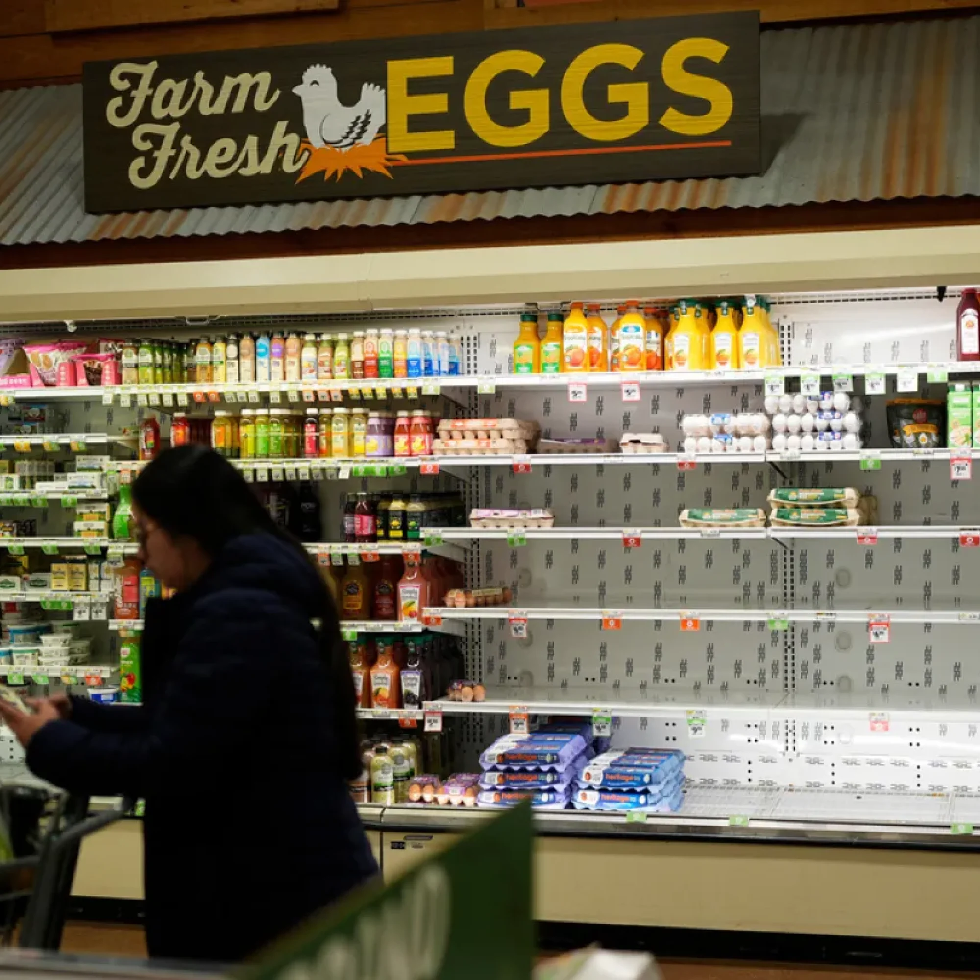 "La Frontera Invernal: Niña y Hielo Azotan la Costa Este de EE.UU. desde Texas hasta Boston"