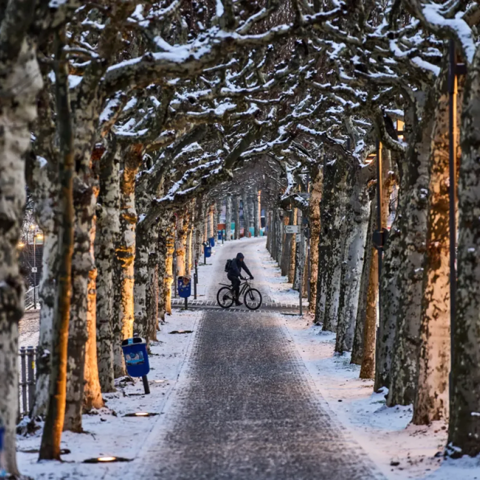 Nieve y hielo paralizan vuelos y bloquean carreteras en Europa