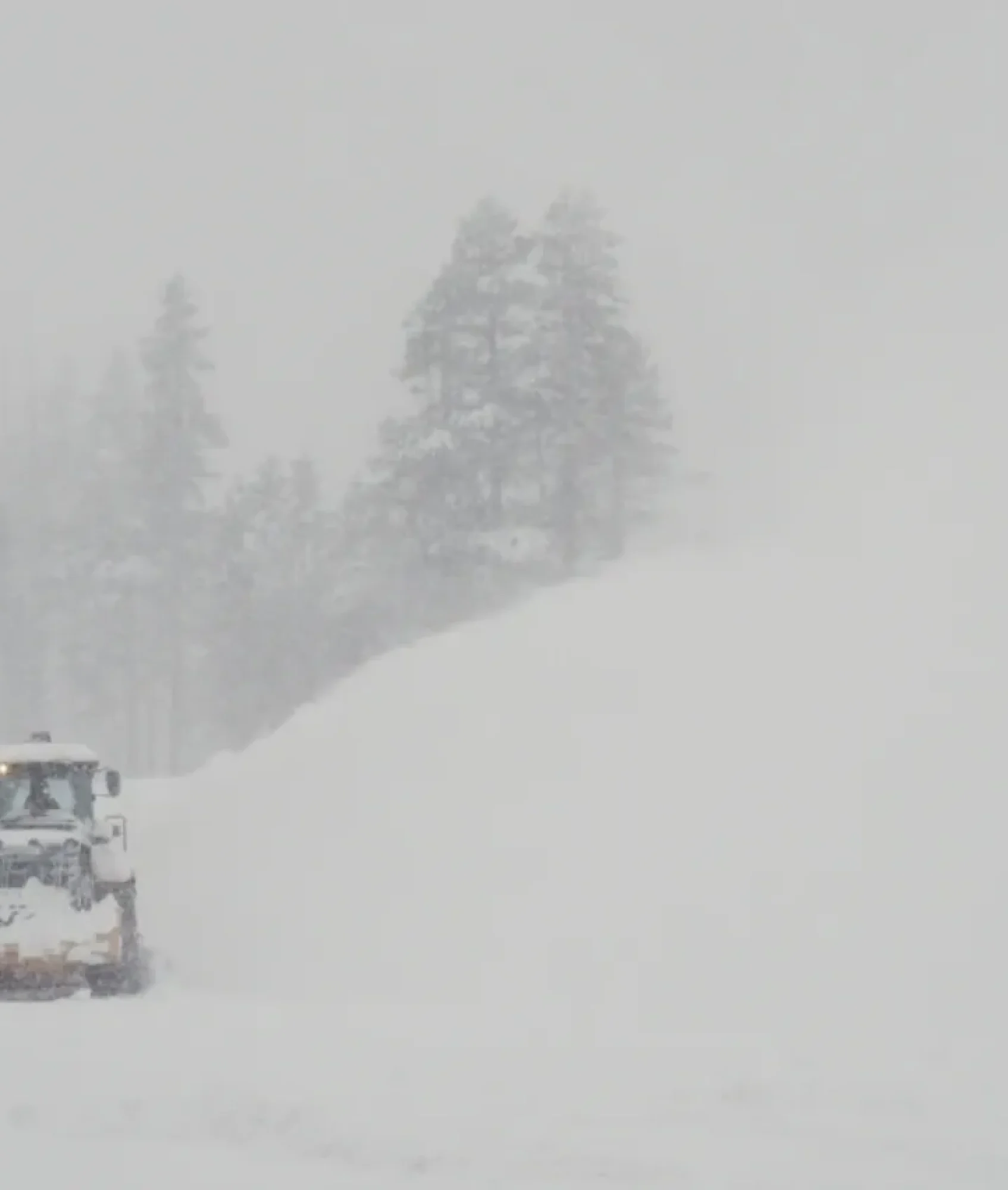 Hallan muertos a 8 esquiadores que desaparecieron tras avalancha en California
