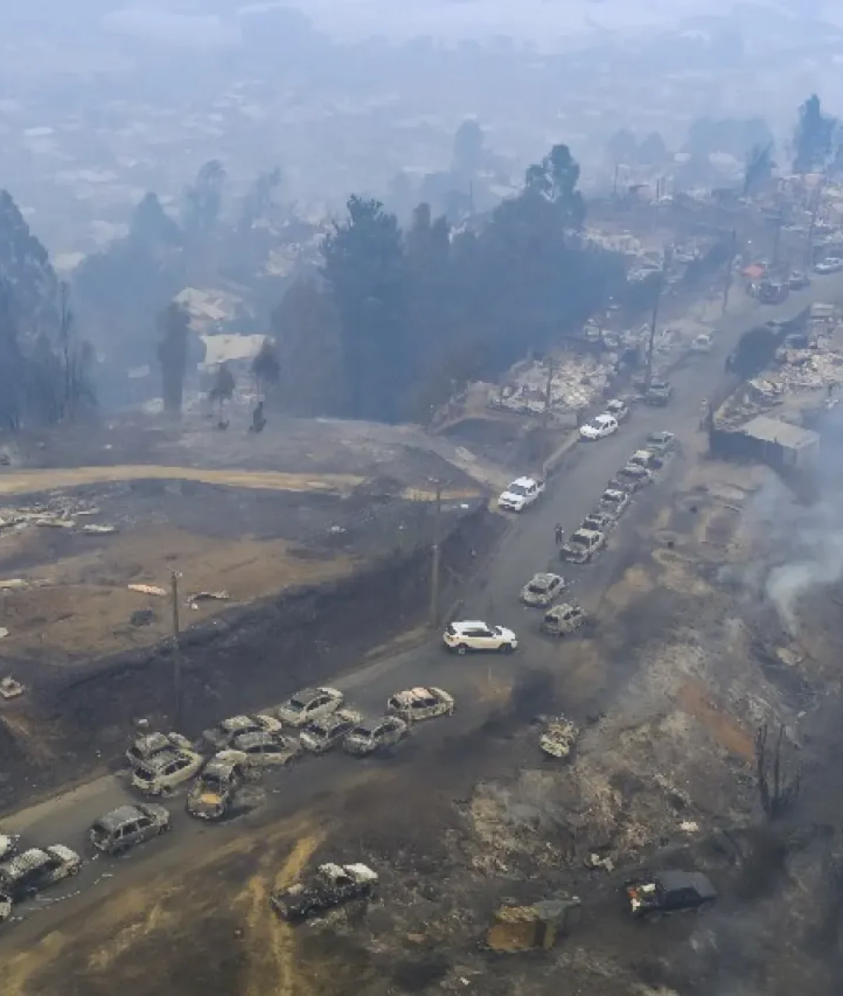 Incendios forestales en Chile queman más de mil hectáreas de bosque
